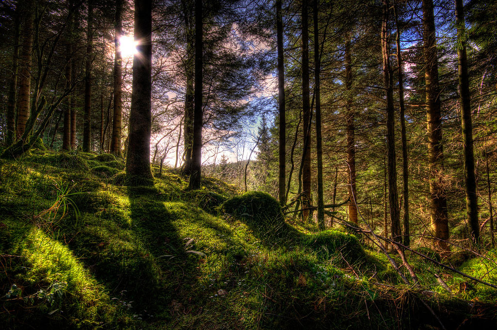 Удивительные HDR-фотографии Амунда Недланда
