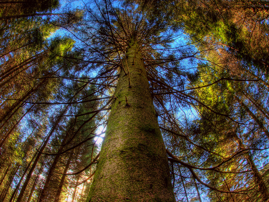 Удивительные HDR-фотографии Амунда Недланда