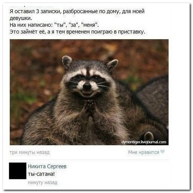 Смешные комментарии из социальных сетей