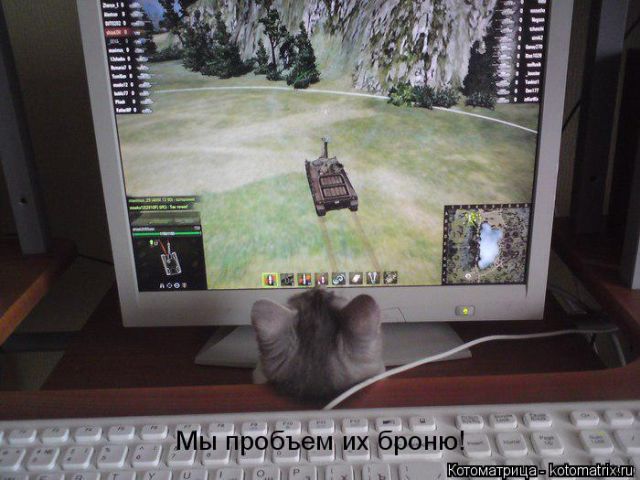Лучшие котоматрицы недели