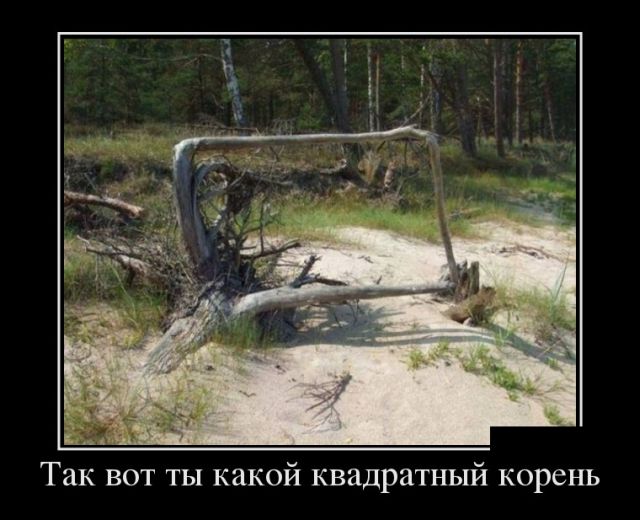 Демотиваторы