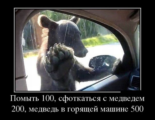 Демотиваторы