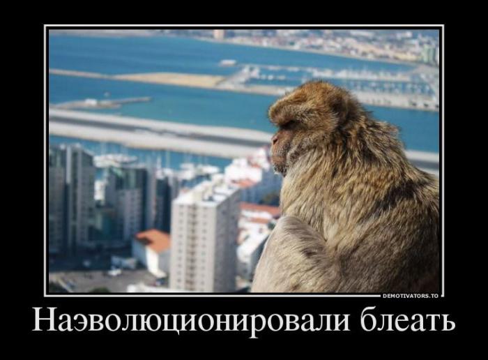 Демотиваторы