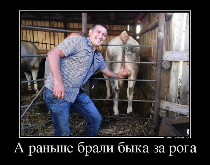 Демотиваторы