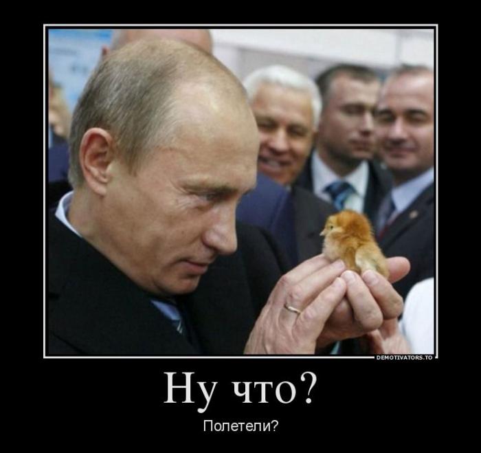 Демотиваторы