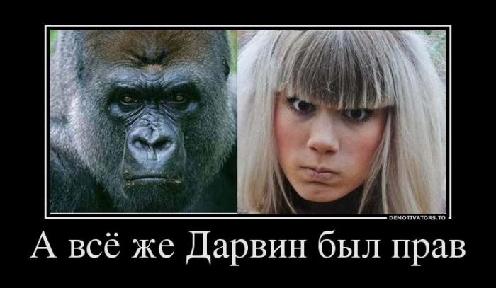 Демотиваторы