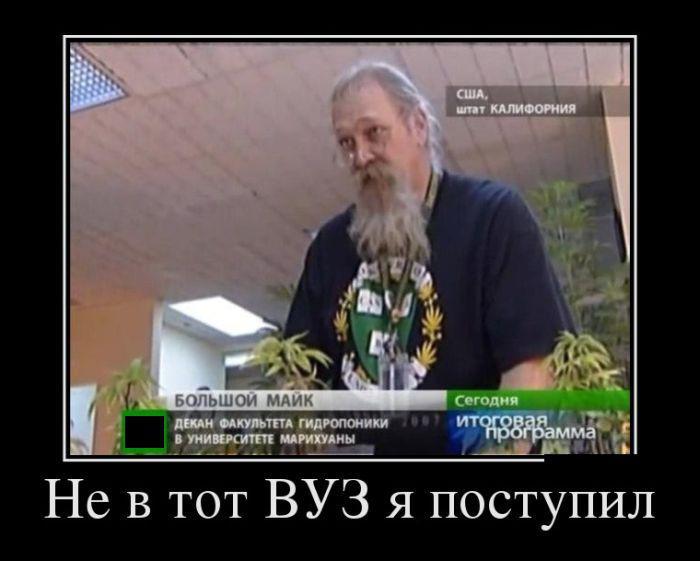 Демотиваторы