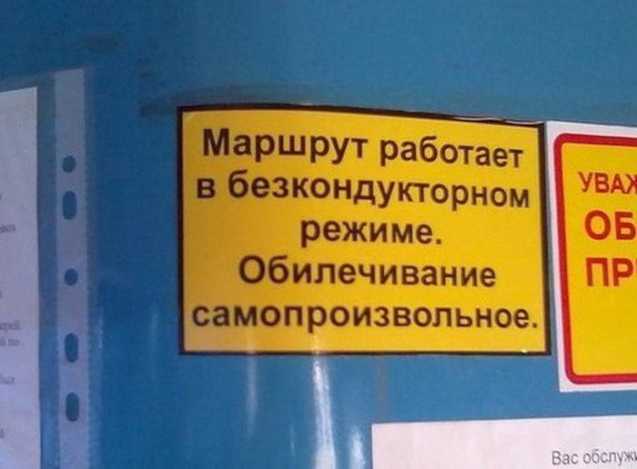 Прикольные картинки