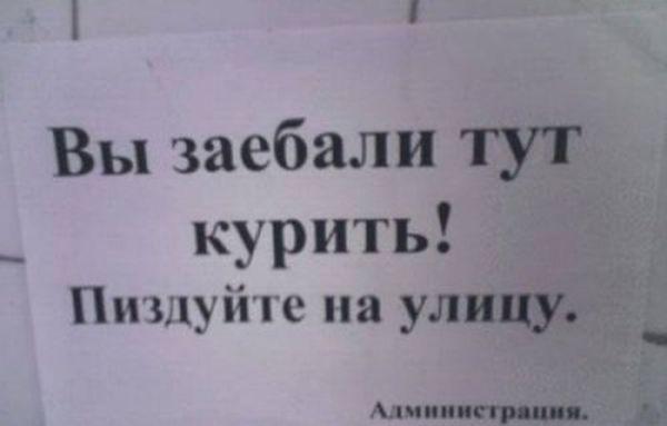 Прикольные картинки