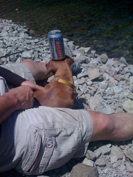 Прикольные картинки