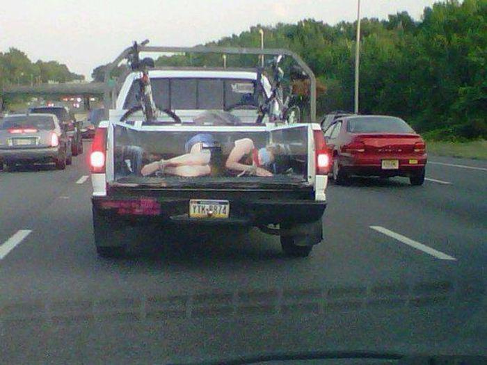 Прикольные картинки