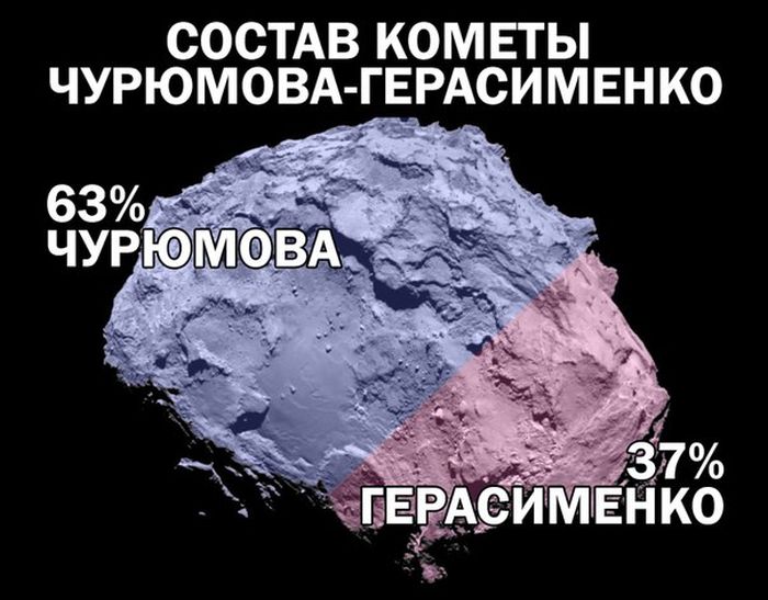 Прикольные картинки (74 фото)