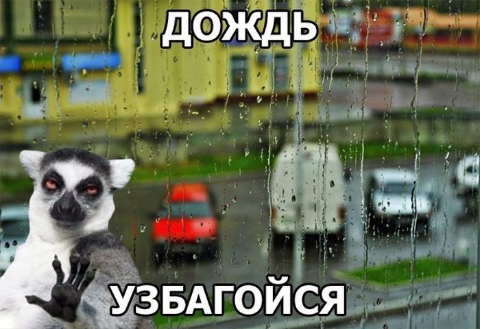 Прикольные картинки (74 фото)