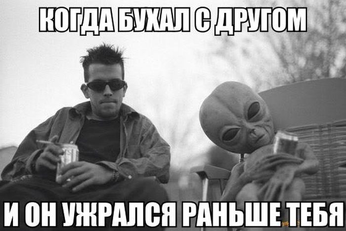 Прикольные картинки (74 фото)