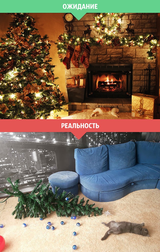 Зимнее ожидание и реальность