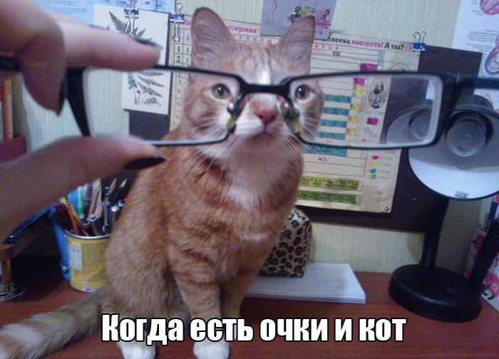 Порция картинок