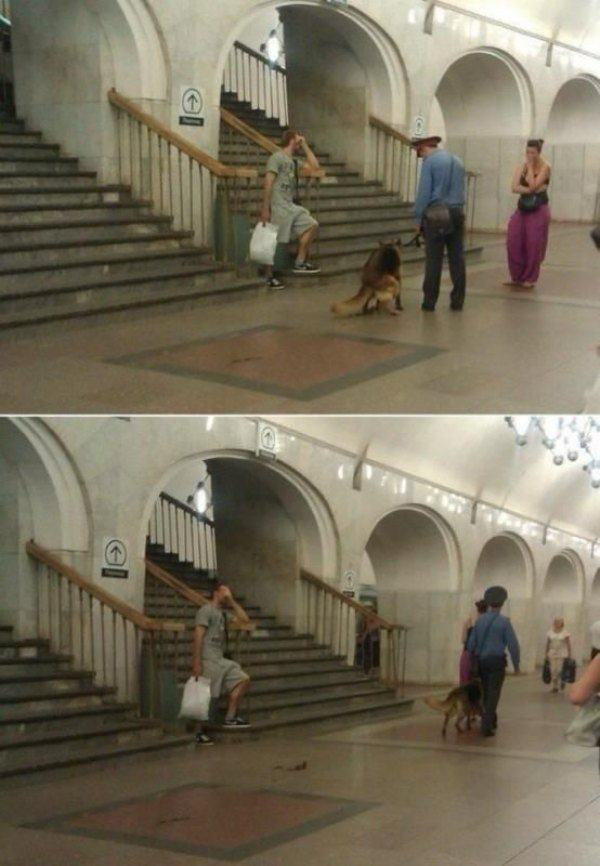 Бывают в жизни огорчения