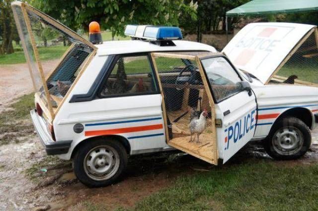 Автомобильный юмор