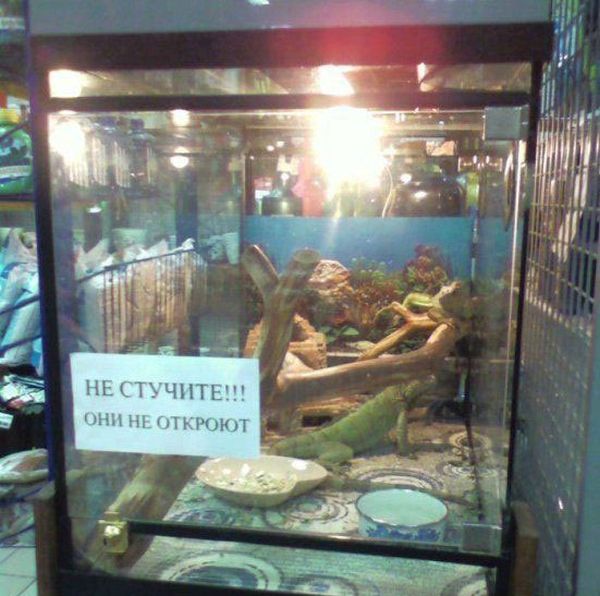 Смешные вывески и объявления
