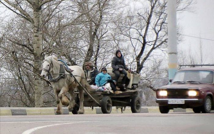 Такое можно увидеть только в России