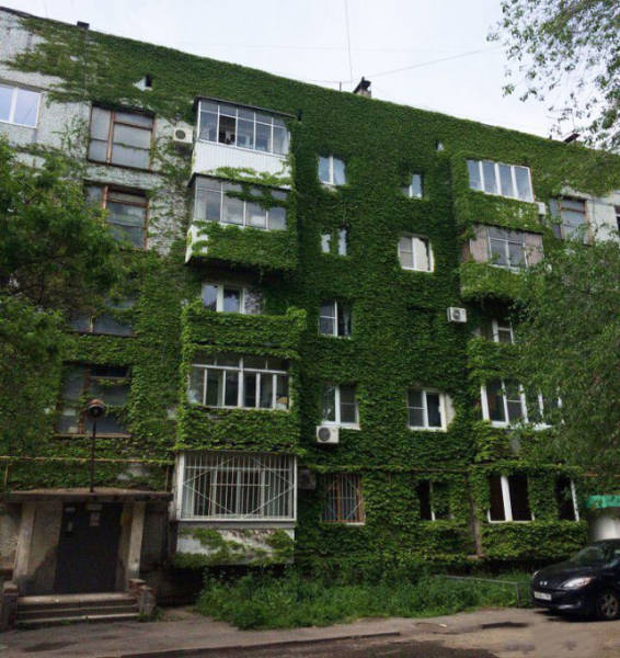 Такое можно увидеть только в России