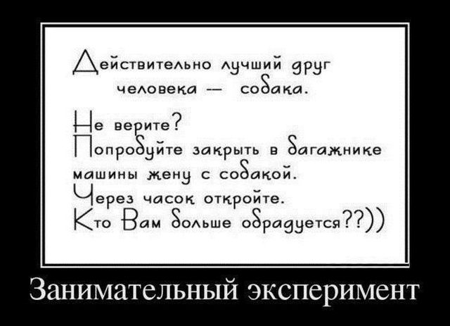 Демотиваторы