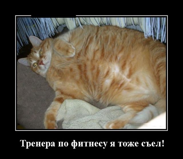 Демотиваторы