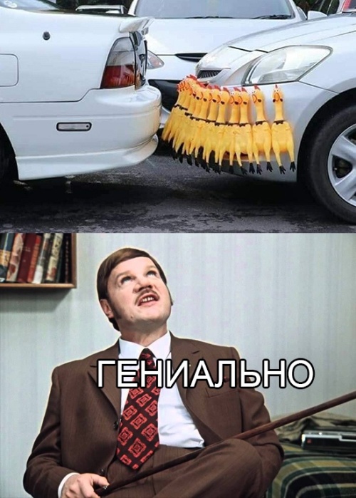 Прикольные картинки