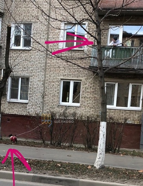 Прикольные картинки