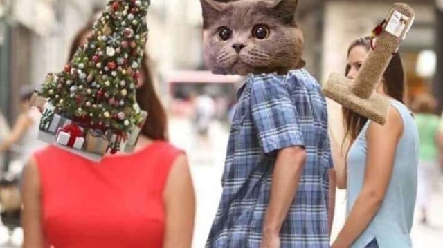 Прикольные картинки