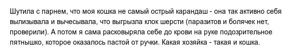 Короткие жизненные истории из социальных сетей