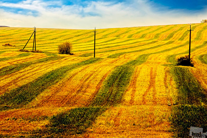 Лучшие фотографии России 2012 Лучшие фотографии России 2012