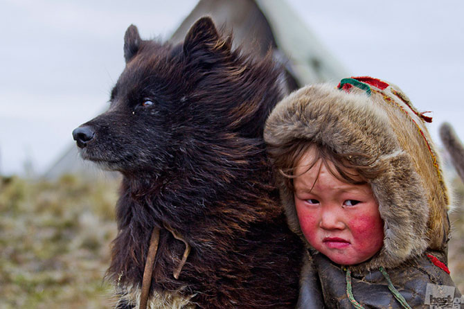 Лучшие фотографии России 2012 Лучшие фотографии России 2012