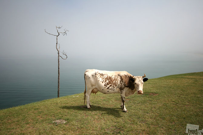Лучшие фотографии России 2012 Лучшие фотографии России 2012