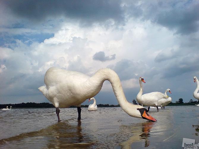 Лучшие фотографии России 2012 Лучшие фотографии России 2012