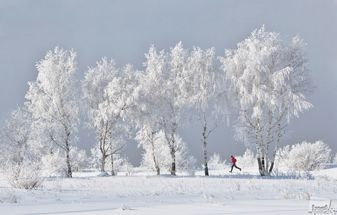 Лучшие фотографии России 2012 Лучшие фотографии России 2012