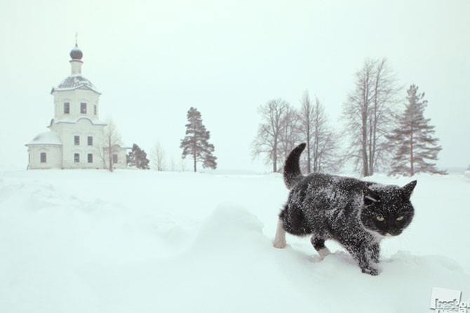 Лучшие фотографии России 2012 Лучшие фотографии России 2012