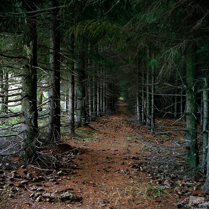 Лучшие фотографии России 2012 Лучшие фотографии России 2012