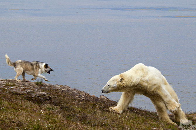 Лучшие фотографии России 2012 Лучшие фотографии России 2012