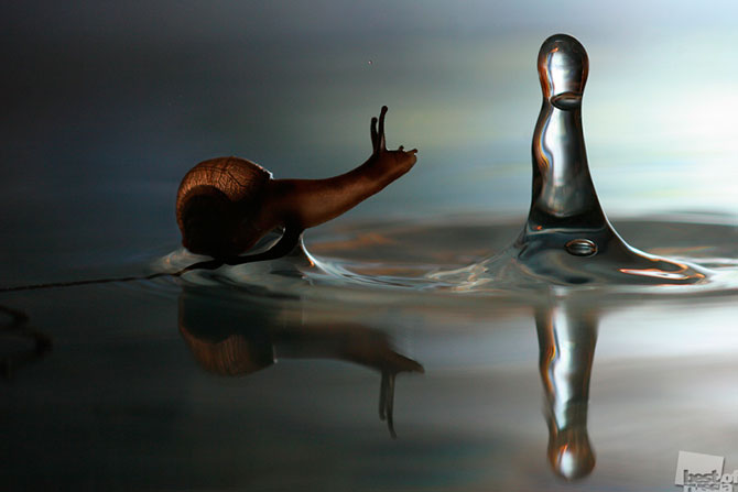 Лучшие фотографии России 2012 Лучшие фотографии России 2012