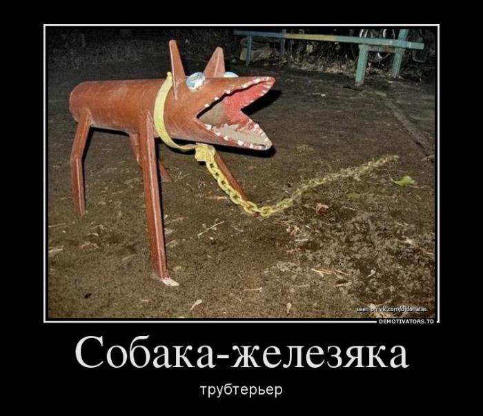 Демотиваторы