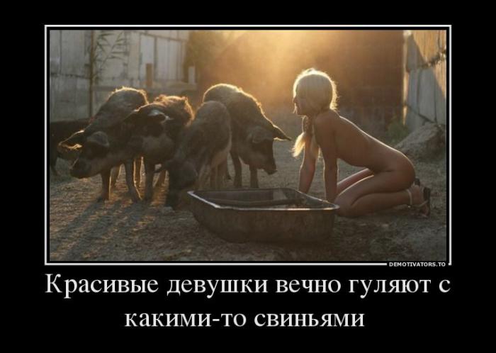 Демотиваторы