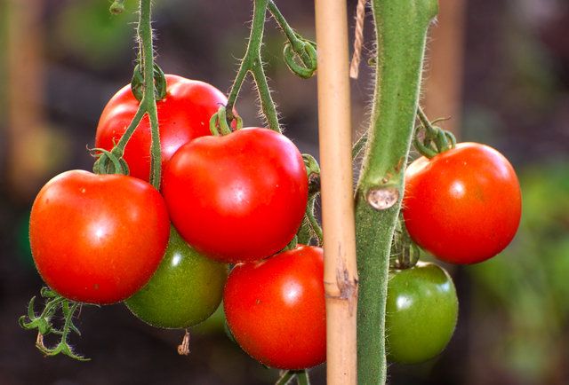 Смертельные продукты