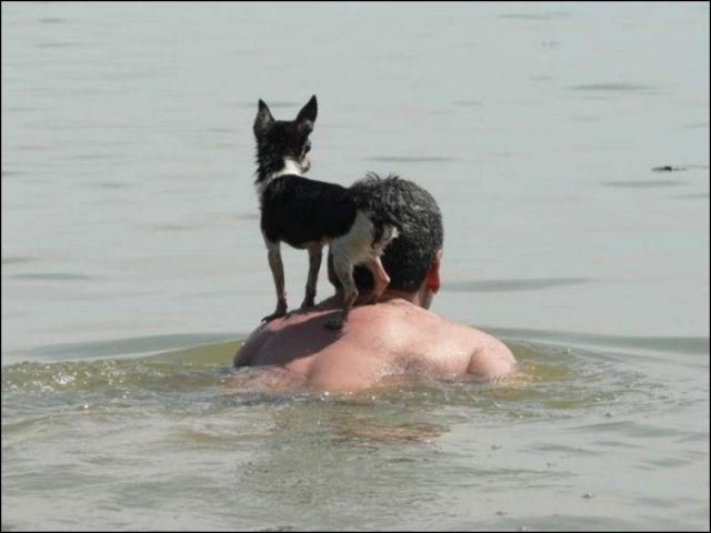 Прикольные картинки