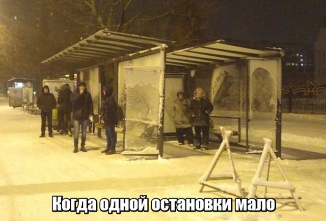 Прикольные картинки