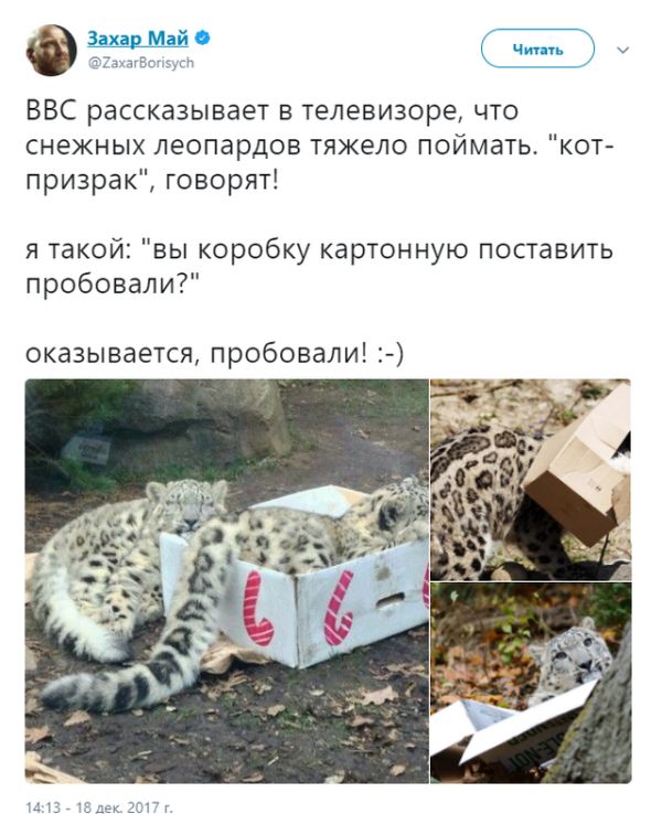 Прикольные картинки