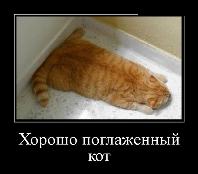 Демотиваторы