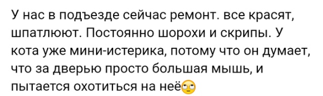 Люди говорят в социальных сетях