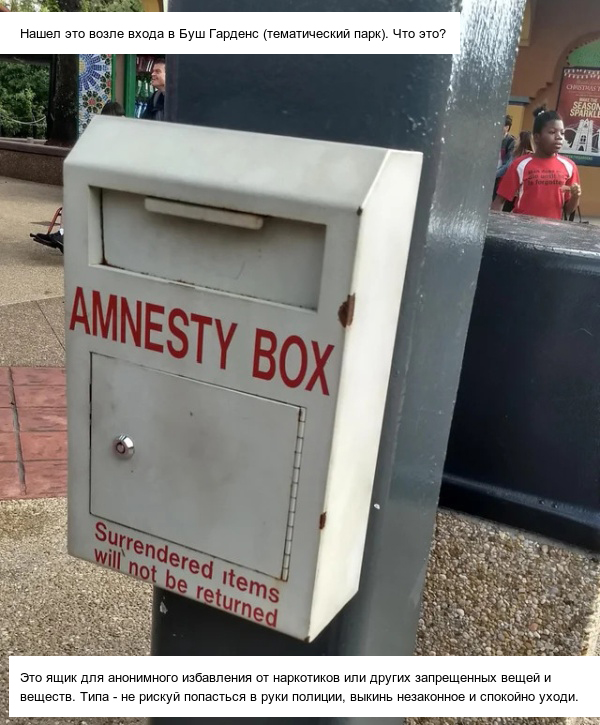 Люди спрашивают у пользователей сети, что "это" такое