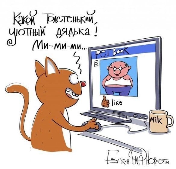 Забавные картинки